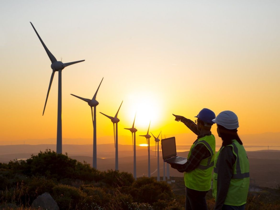 La transition écologique : une opportunité pour trouver de l’emploi